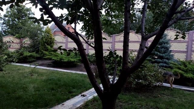 Славянск. 1 сентября 2022 года. 5:45. смотреть онлайн