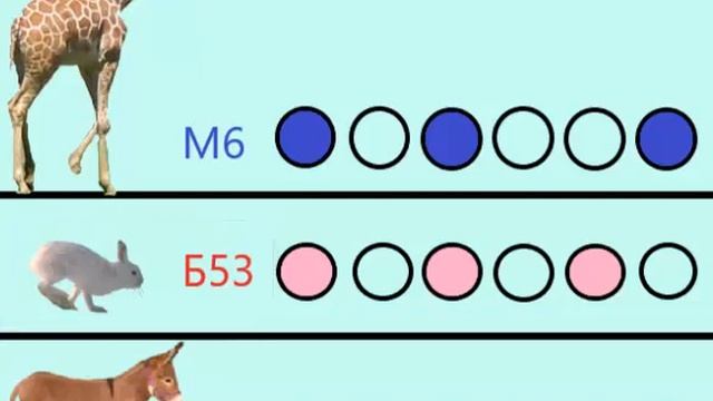 Весёлое сольфеджио. Аккорды от звука. Игра "Беговые дорожки". смотреть онлайн