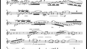 V.Peskin - Poem N.1 for trumpet and Piano - T.Dokshizer trumpet