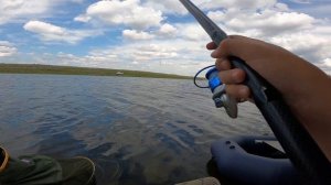 КРУПНЫЙ ОКУНЬ НА УДОЧКУ и  ЩУКА НА ЧЕРВЯ?! 🎣ловля окуня на спиннинг и удочку🐟