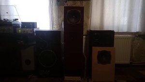 Труба войта+лампа на 6п6с+ Вега 110