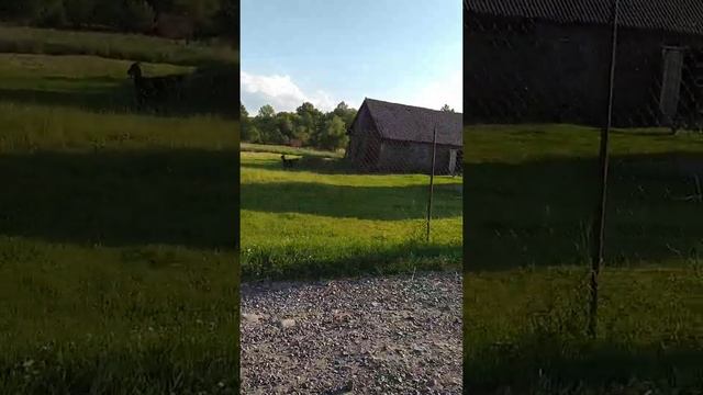 Тест камеры Xiaomi Redmi Note 8T смотреть онлайн