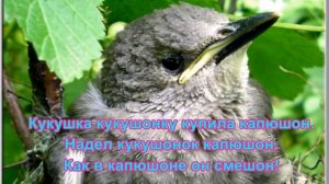 Скороговорки с шипящими звуками