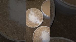 Процесс приготовления и рецепт комбикорма для кур-несушек.