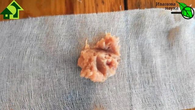 Как избавиться от муравьев, ос и мух в саду. Защита дерева копеечным способом. Забудете навсегда! смотреть онлайн