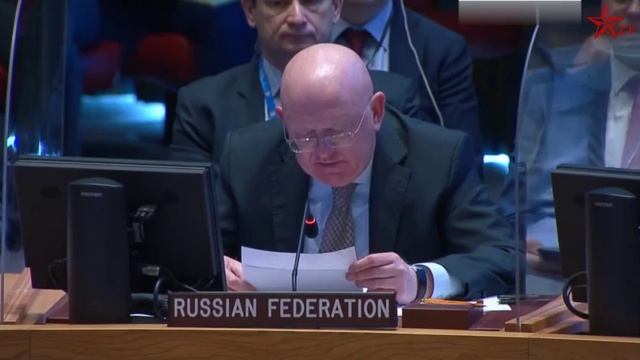 Необходимо вырезать ту нацистскую раковую опухоль, которая пожирает Украину — Небензя.mp4