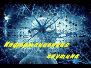информационная паутина