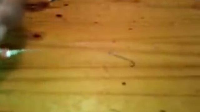 .Морская рыбалка .Снасть"ЧИХ-ПЫХ" смотреть онлайн