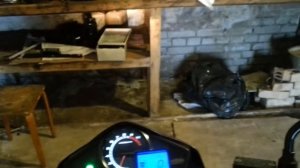 Stels Flex 250
