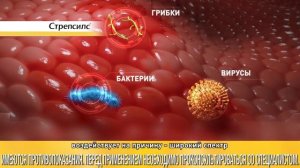 Стрепсилс® с Медом и Лимоном – против широкого спектра причин боли в горле!