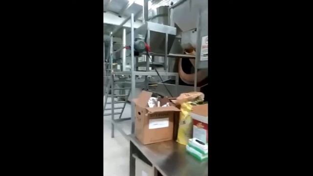 OS - 850 Continuous Fryer Line / OS - 850 непрерывная линия фритюрницы