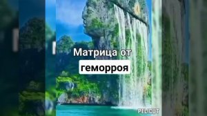 ?Матрица Гаряева от геморроя.