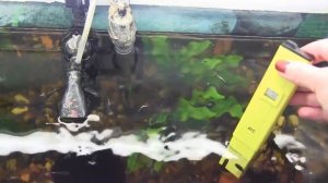 КАК проверить КАЧЕСТВО ВОДЫ/Эксперименты с водой.