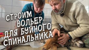 Спасение животных _ Строим вольер для спинальника _ Проводим бужирование у спинальника