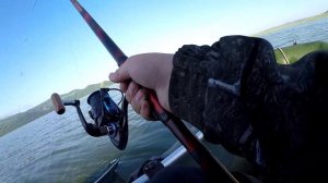 Сыда Красноярский край. Сазан на поплавок.