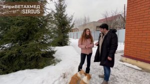 №8. Секрет породы. Вельш-корги пемброк.