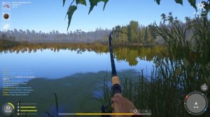 Линь и угорь на старом остроге. Нежданный амур. Рыбачим с прикормкой на угря. Русская рыбалка 4.