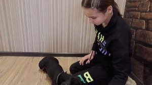 Как научить собаку команде СИДЕТЬ??? Сейчас расскажу!)