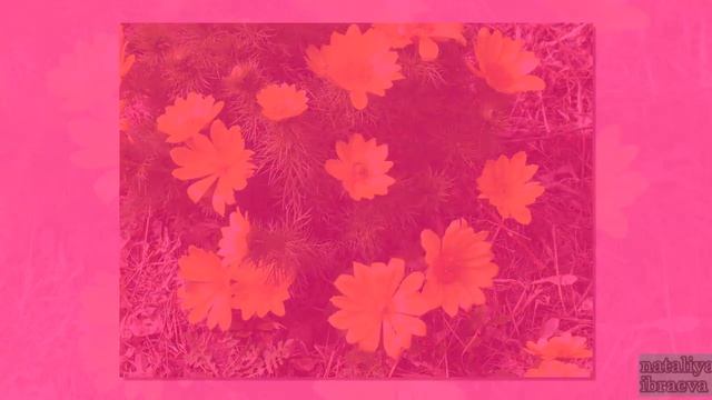 Международный День земли - 22 апреля. Презентация #деньземли