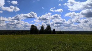Козы, куры, петушок 🤗 СК √10