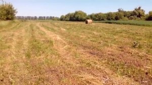 выгодно ли заготавливать сено самому) сколько стоит заготовка сена)) купить или косить
