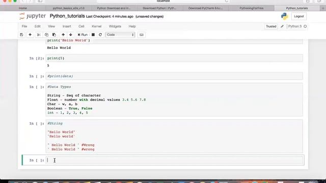 python print DataTypes Variables and Maths Functions