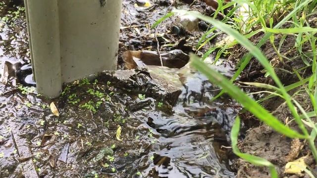 Мормышинг. Жирная Плотва и Хороший Окунь Бонусом! Fario NT Morm S. смотреть онлайн