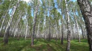 294. Озеро Шайтан приняло подношение. Не делай того, чего не делал бы в Храме. Деревня Окунево.