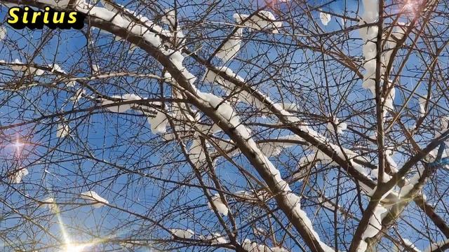 7 января Рождество Христово: что категорически нельзя делать