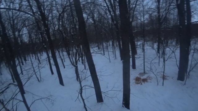 охота на кабана 2022 ночью один в глухом лесу смотреть онлайн