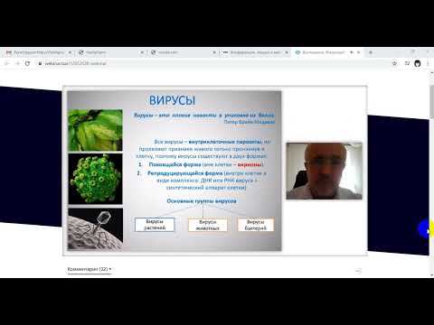 Воспаление — иммунный ответ смотреть онлайн