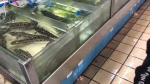 Китайский продуктовый рынок. Часть 2. Русские в Китае едят сырую рыбу не отходя от кассы.