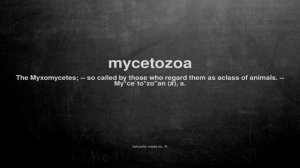 What does mycetozoa mean