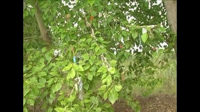 Мой Энергетик - Ирикла.Жемчужина степного края! смотреть онлайн