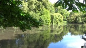 У свекрови дебильная привычка всем рассказывать. Через 2 часа знают все. Она звонит всем знакомым.