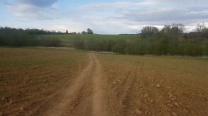 Как мы ходили к реке Д. Сорокино