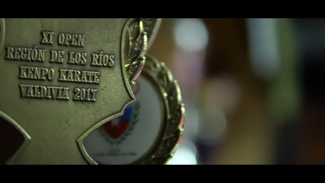 Cross Fighting Club/Capoeira Yawaresa. (Mixed Martial Arts). Valdivia смотреть онлайн