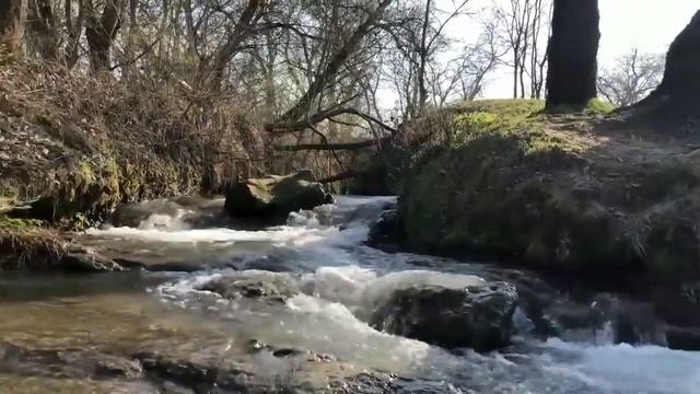 Чеченская кухня в полевых условиях смотреть онлайн