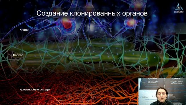 Что такое клонирование и клон?