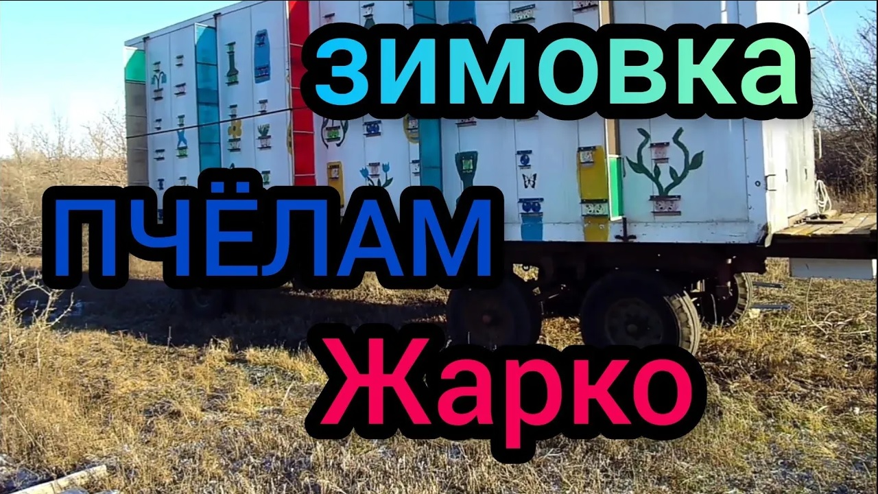 Зимовка пчёл. Сильным семьям   жарко. смотреть онлайн