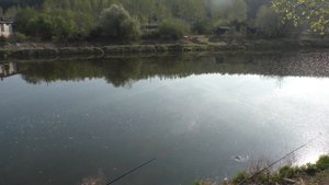 Рыбалка на Карпа река Исеть.