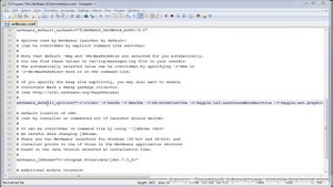 Меняем язык интерфейса NetBeans IDE на английский