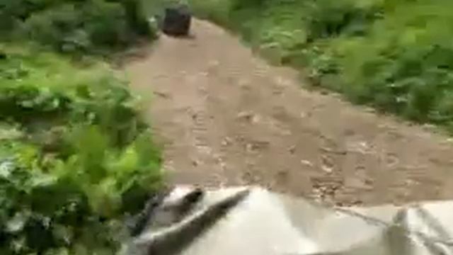 Джиппинг смотреть онлайн