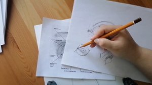 Как нарисовать портрет, пропорции лица анфас