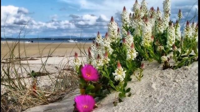 ЭТОТ УДИВИТЕЛЬНЫЙ МИР ПРИРОДЫ.... смотреть онлайн