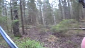 Охота с Русскими гончими на зайца 12 11 23 1 часть