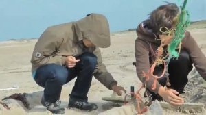 Borkum '10: Sandskulpturen-Wettbewerb