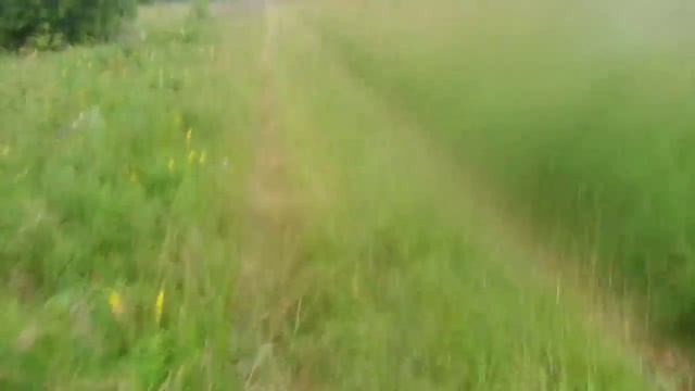 Выпуск 7. Поиск монет на старом урочище