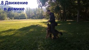 Немецкая овчарка 10 команд| Дрессировка немецкой овчарки| Как дрессировать немецкую овчарку