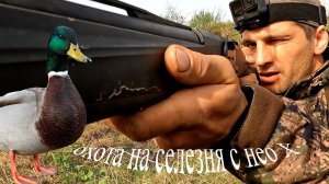 искал подсадную,добыл селезня.Весенняя охота 2024